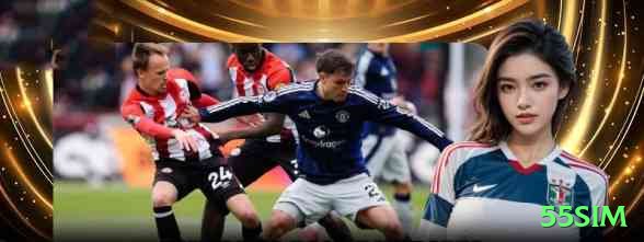 55sim BR Ultimate Screenshot 2